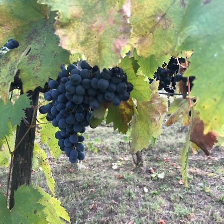 Agriturismo Beata Vanna Fabro Kültér fotó