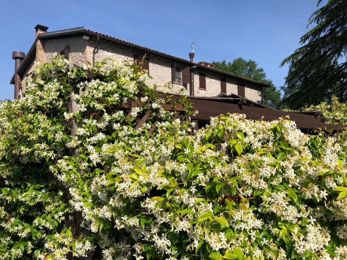 Agriturismo Beata Vanna Fabro Kültér fotó