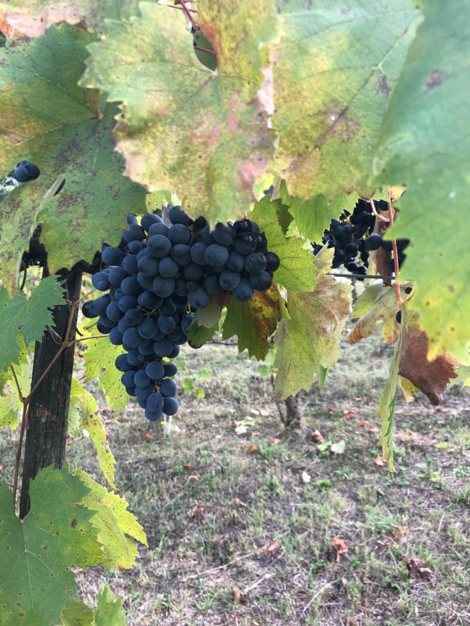 Agriturismo Beata Vanna Fabro Kültér fotó